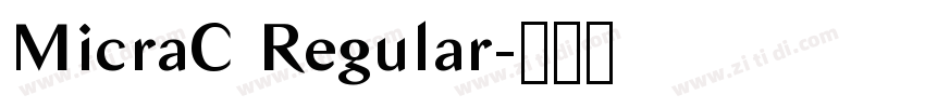 MicraC Regular字体转换